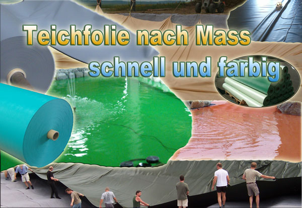 Schwimmteich_bauen_in_Farbe