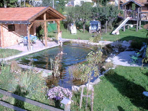 Schwimmteich im Garten Schwimmteich Laub