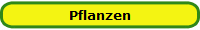 Pflanzen