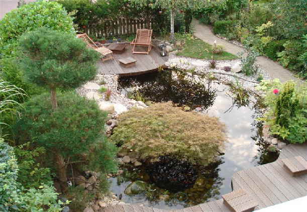 Schwimmteich bau im Garten