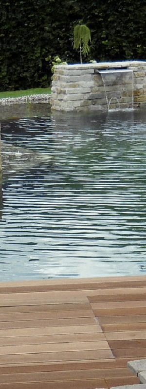 Schwimmteiche und Teiche entstehen lassen