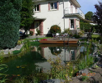 Rund ums Jahr etwas am Schwimmteich erleben