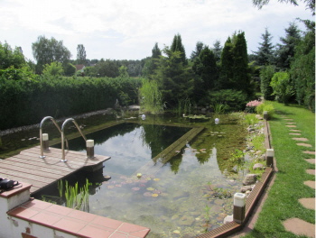 Schwimmteich im Garten wurde geplant und umgesetzt