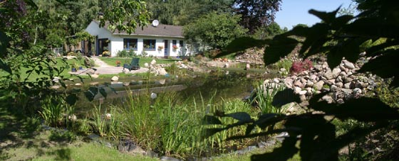 Schwimmteich bei Fam Peter