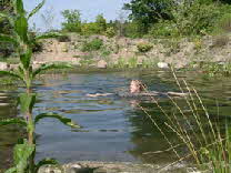 Baden im Schwimmteich04