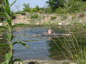 Baden im Schwimmteich