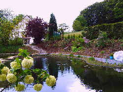 Bild-Schwimmteich-in-ruhiger-Lage