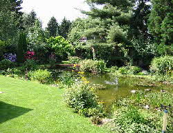 Biotop Schwimmteich im Garten