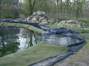 Bschungsmatte einarbeien im Schwimmteich.jpg