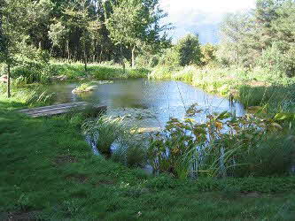 Naturteich wird angelegt Foto