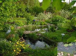 Schwimmteich-Foto-Teich-im-Garten