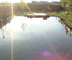 Schwimmteich-foto-102