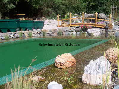 Schwimmteich Pflanzzonen