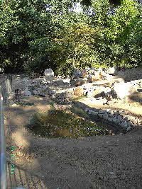 Schildkrten Zoo Duisburg