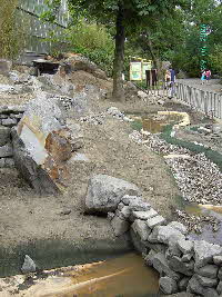 Schildkrten Zoo Duisburg