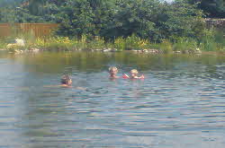 schwimmteich-Foto02