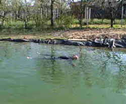 schwimmteich_Bild-302