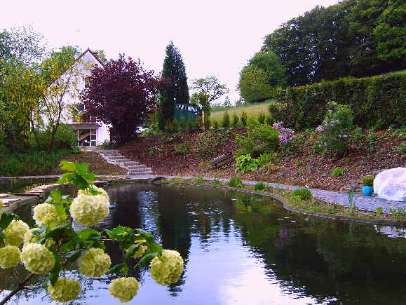 Schwimmteich bau im Garten