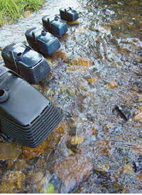 Starke Pumpe für Schwimmteich und Teich