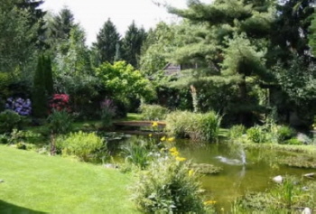 Dünger für Ihren Garten, Rasendünger, Pflanzendünger, Blumenkastendünger