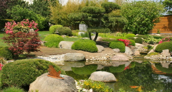 Der Schwimmteich - Natur erleben