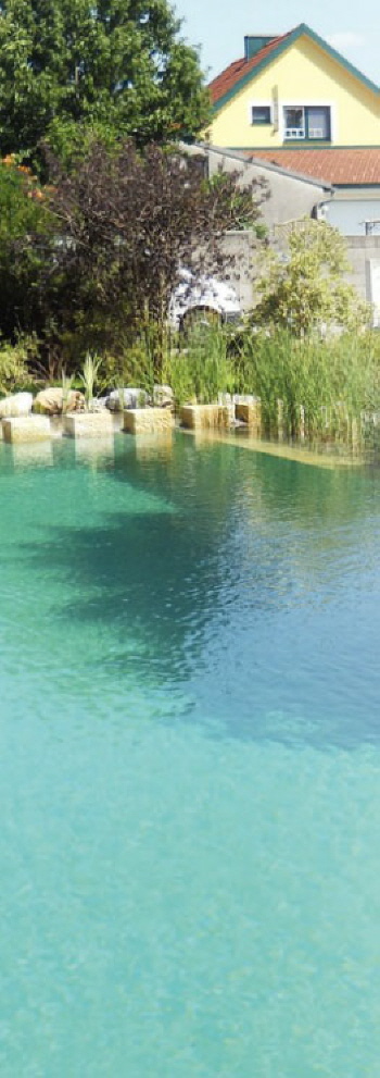 Reinigung Schwimmteich im Garten