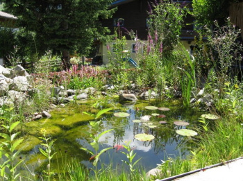 Biotope zur Erholung für Natur und Mensch