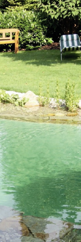 Pflanzen in Teichen und Schwimmteich säubern das Wasser